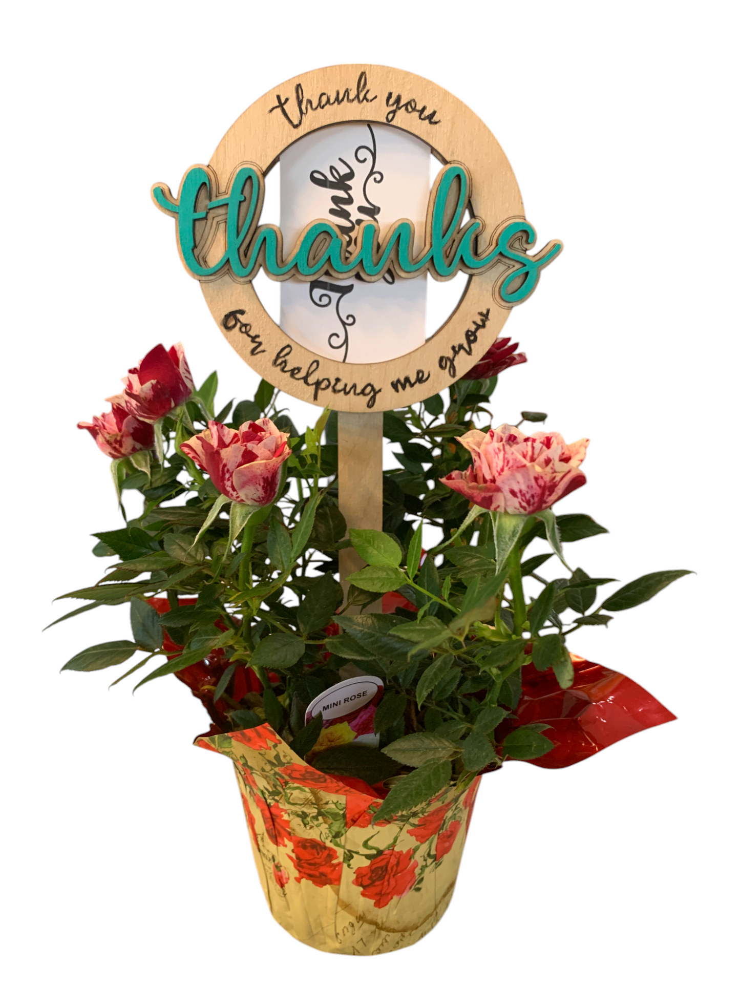 Teacher Appreciation Helping me Grow Plant WS