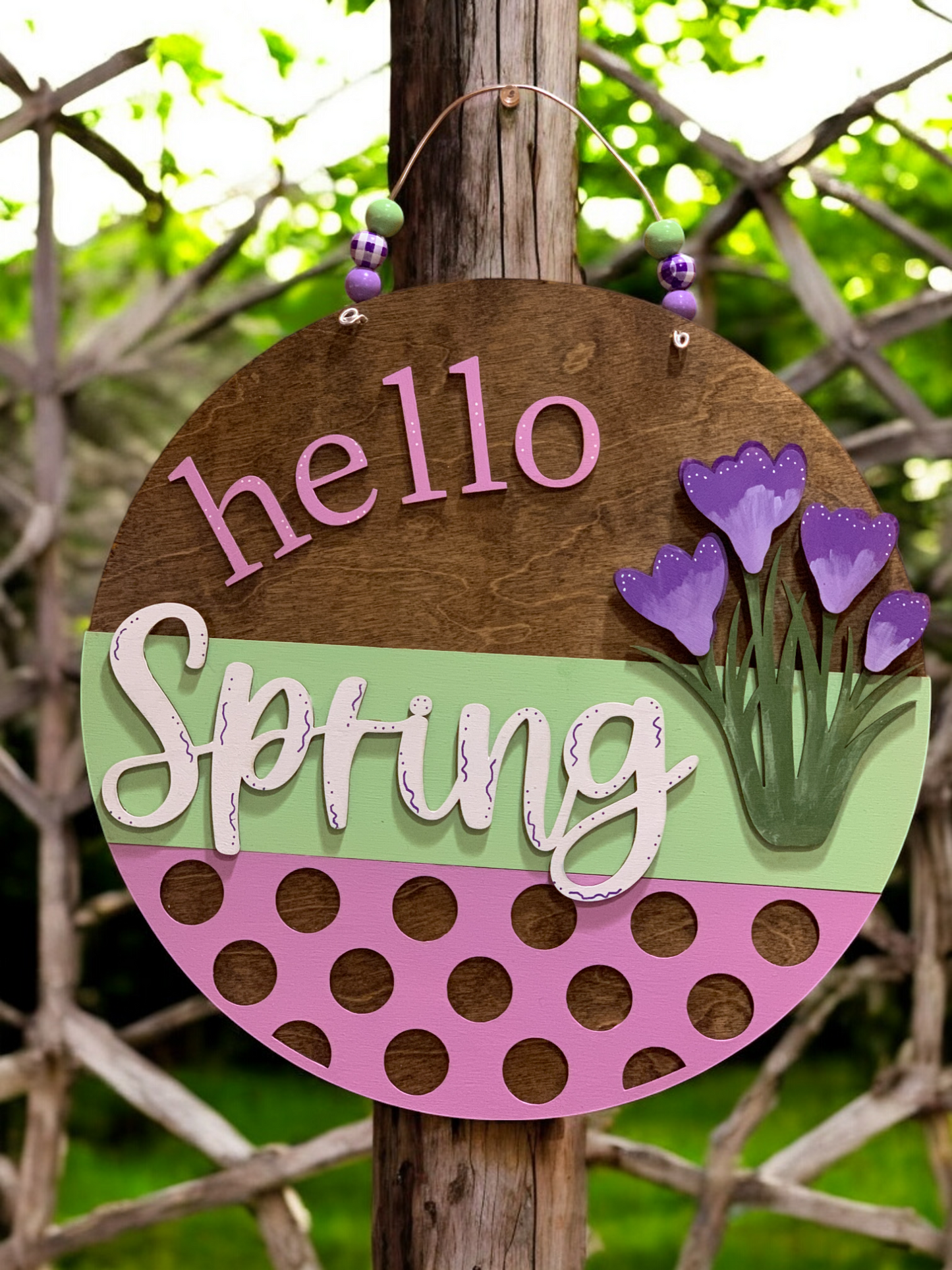 Hello Spring Tulip 3D Wooden Sign